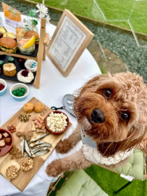 Christmas Afternoon Tea