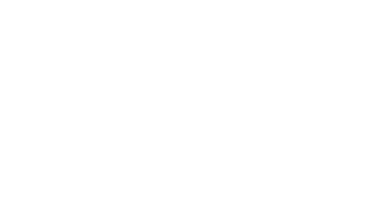 The Spot