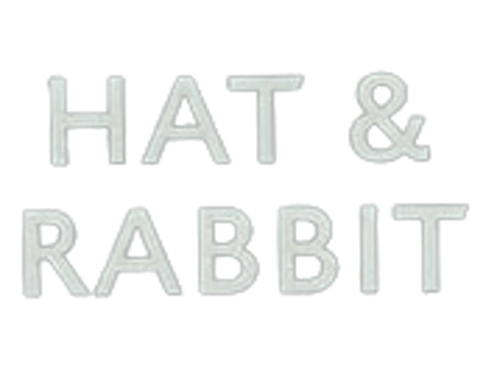 Hat & Rabbit